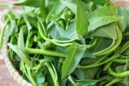 5 loại rau giúp phục hồi, cải thiện gan nhiễm mỡ