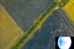 Thế giới - Lộ vị trí, pháo 6 triệu USD của Ukraine bị UAV Lancet tập kích