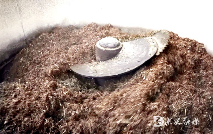 Ảnh: Dongxing Integrated Media