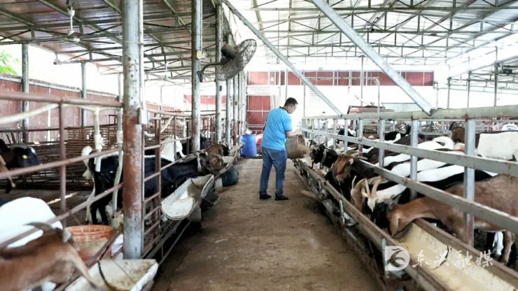 Ảnh: Dongxing Integrated Media