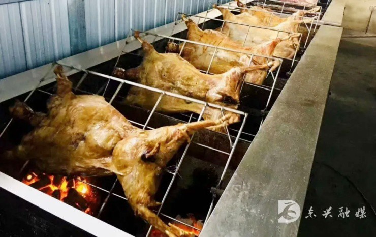 Ảnh: Dongxing Integrated Media