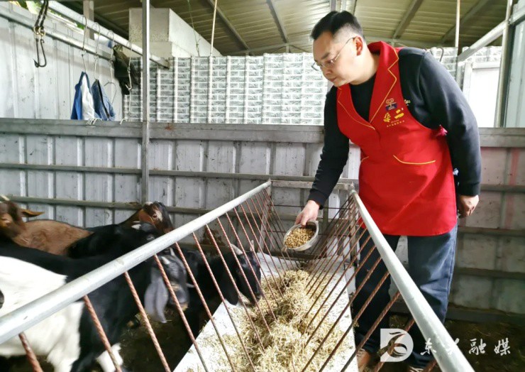 Ảnh: Dongxing Integrated Media