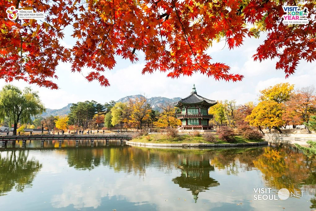 Hàn Quốc mùa thu – nơi giao hòa của lãng mạn và tinh hoa - 1