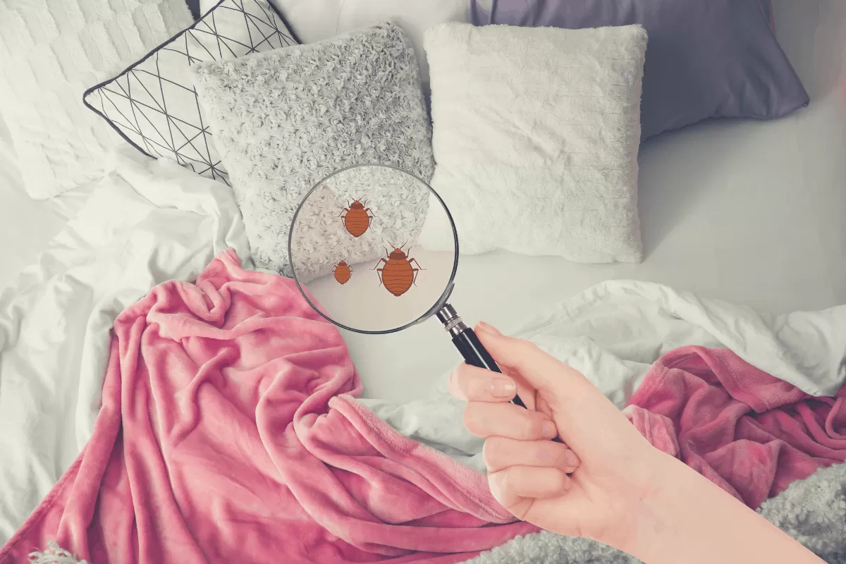 Đêm đi ngủ làm 3 điều này, “tàn phá” phổi không kém gì thuốc lá nhưng hầu như ai cũng mắc! - 2