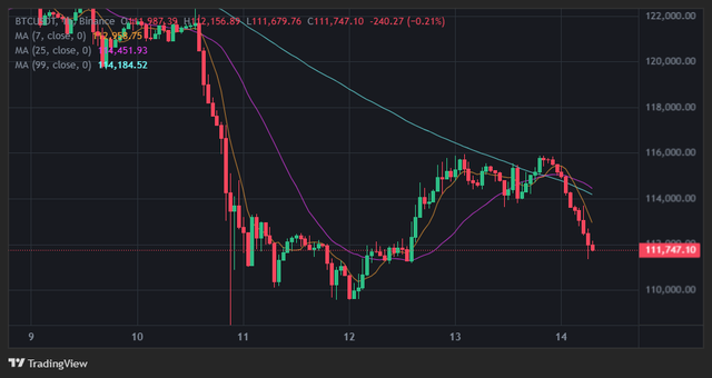 Diễn biến giá Bitcoin theo khung giờ ngày 14/10.