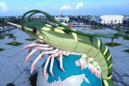 Tin tức trong ngày - Cận cảnh con tôm 22 tỷ đồng ở Cà Mau