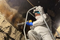 Sau 40.000 năm, sinh vật cổ đại trong hầm quân sự Alaska sống lại