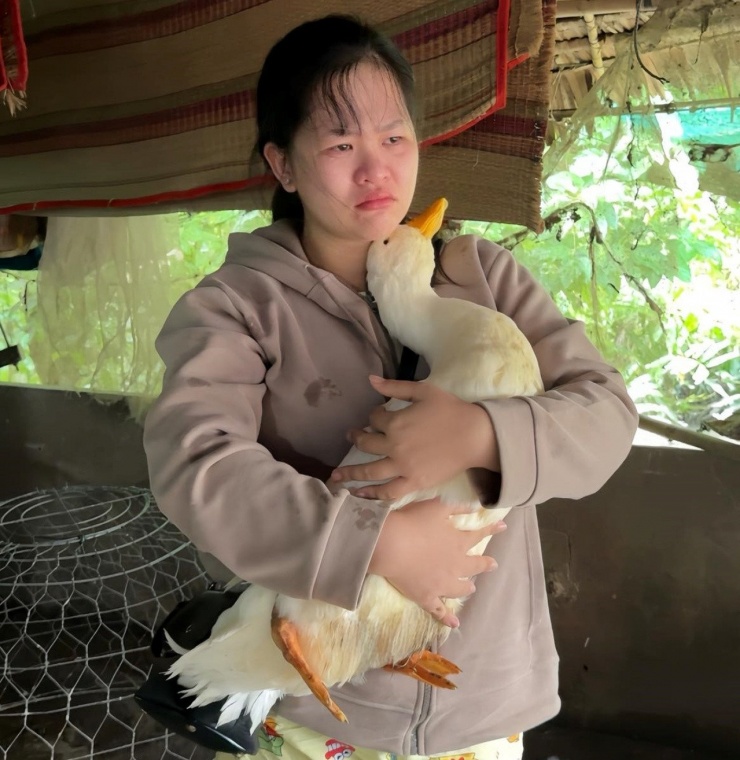 Trang rơi nước mắt khi phát hiện chú vịt thân quen không còn sự sống