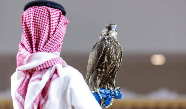 Con chim được bán với giá 4,5 tỷ đồng, đại gia vẫn xuống tiền mua - 2