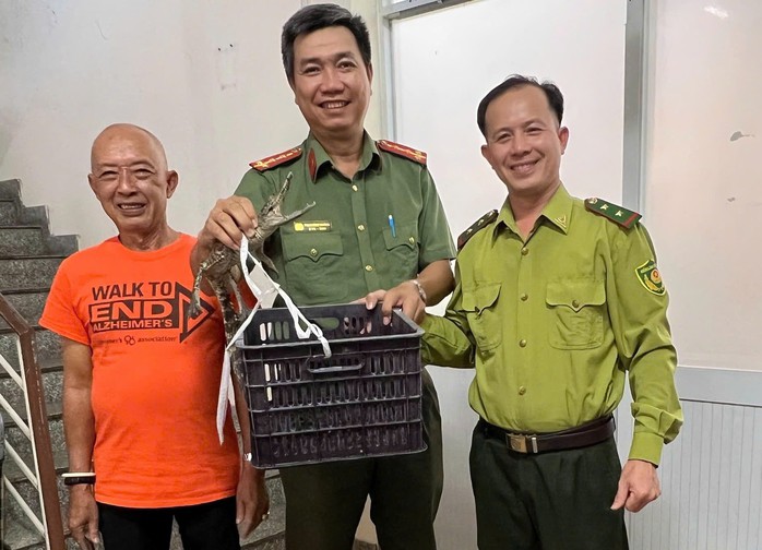 Con cá sấu nặng 1,8 kg được người dân giao nộp.