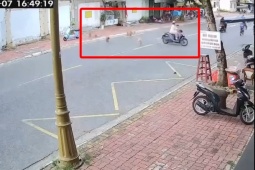 Xe máy - Xe đạp - Clip: Đàn chó bất ngờ lao ra đuổi, người đi đường hoảng hồn quay xe bỏ chạy