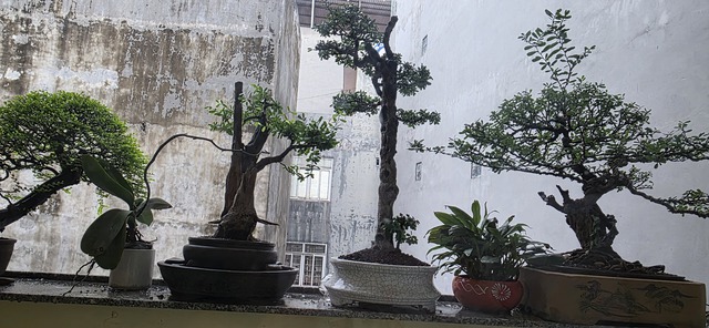 Và màu sắc nền trời trở lại bình thường lúc 6h15 phút.