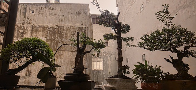 Màu sắc nền trời chuyển vàng lúc 5h45 phút sáng nay.