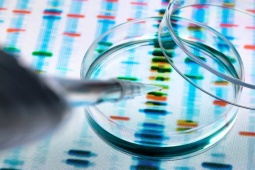 Sức khỏe đời sống - Hy hữu: Cha con cùng trộn tinh trùng, bé trai sinh ra không rõ ai là cha ruột