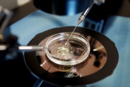 Nhờ mang thai hộ, cặp vợ chồng phát hiện con trai không cùng huyết thống với bố