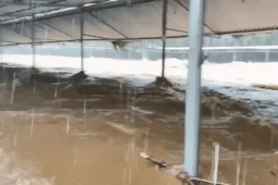 Tin tức trong ngày - CLIP: Mưa rất to ở Huế, nước đổ về cuồn cuộn