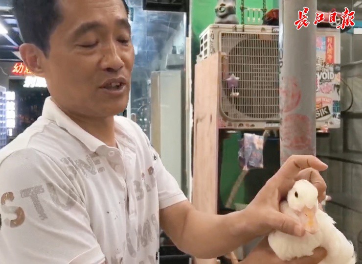 Ảnh: Changjiang News
