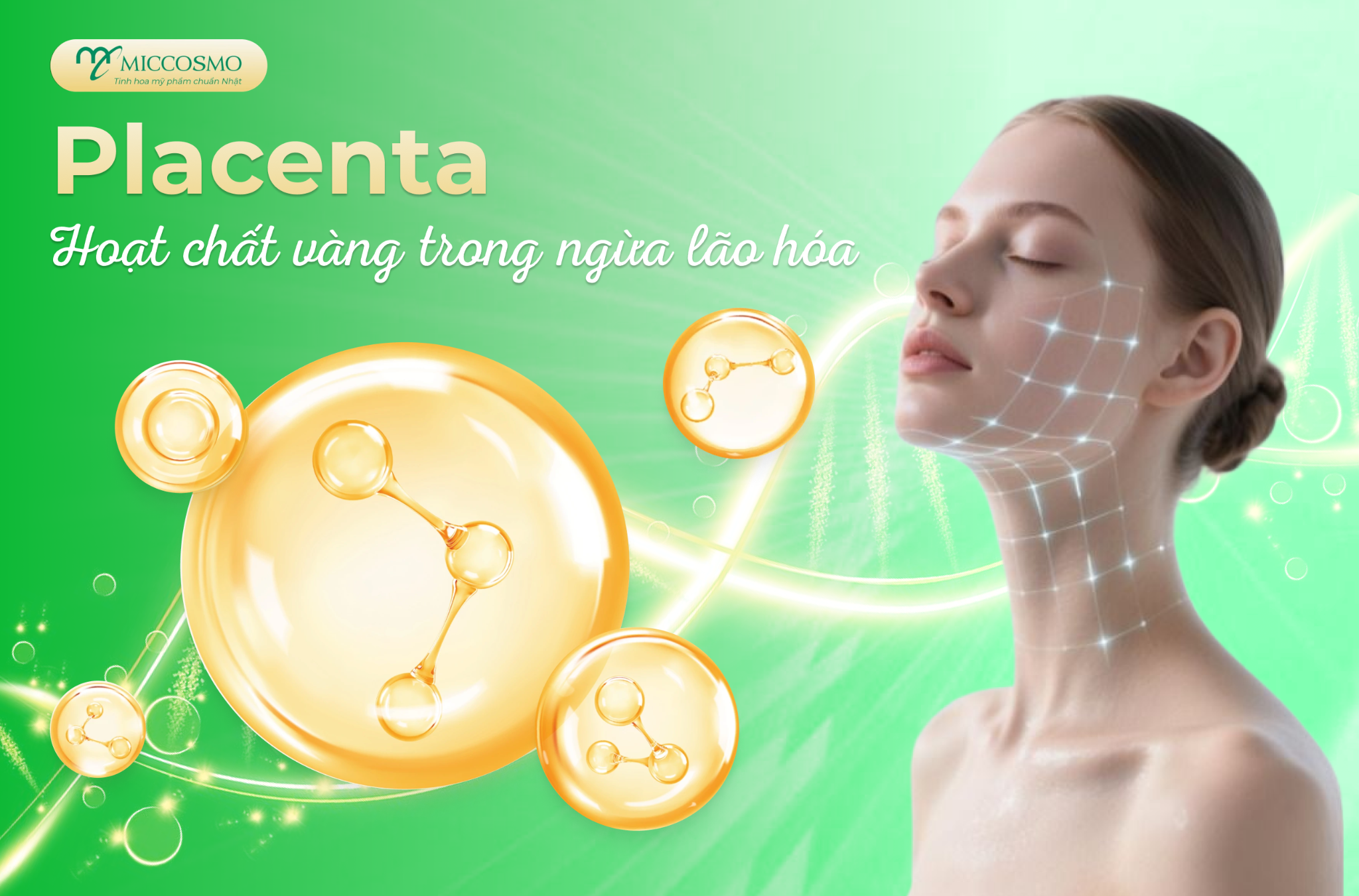 Placenta được ví như hoạt chất vàng trong ngừa lão hóa