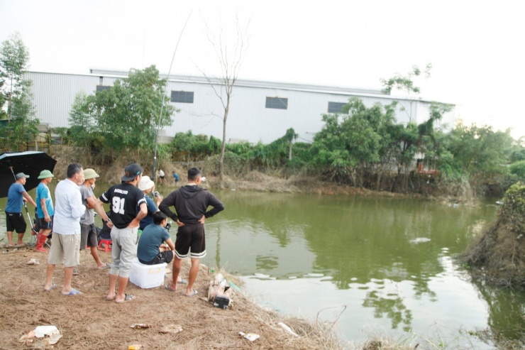 Sau lũ, cần thủ câu được bao tải cá ở vùng nước ngập - 1