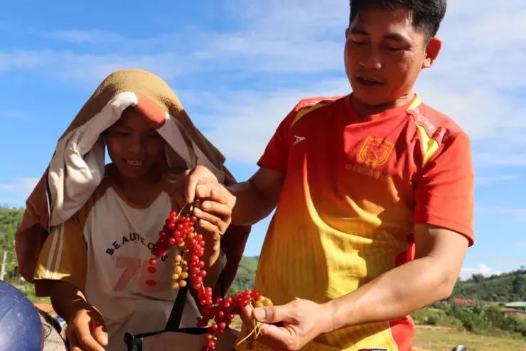Theo chân người Xơ Đăng lên rừng hái &#39;hạt ngọc trời&#39;, kiếm tiền triệu mỗi ngày - 3