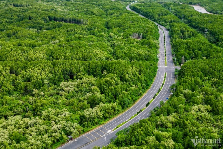 Khu dự trữ sinh quyển Cần Giờ được mệnh danh là lá phổi xanh của thành phố