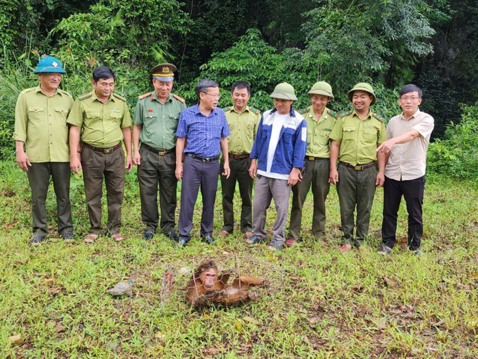 Lực lượng kiểm lâm và công an xã Trường Sơn tiếp nhận cá thể động vật nặng khoảng 30 kg do người dân bàn giao