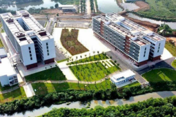 Bắt đầu sáp nhập các trường công lập