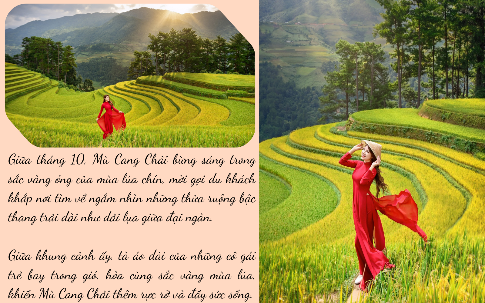 Mê mải nắng thu rót vàng trên ruộng bậc thang Mù Cang Chải - 6