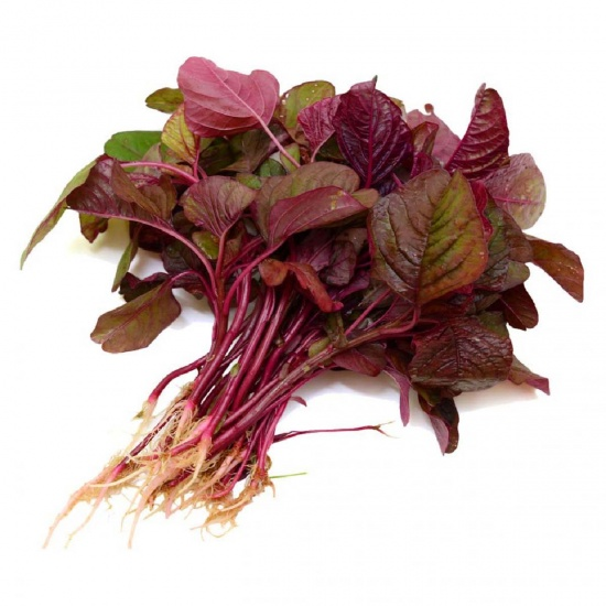 Top 5 loại rau đại bổ cho xương khớp - 2