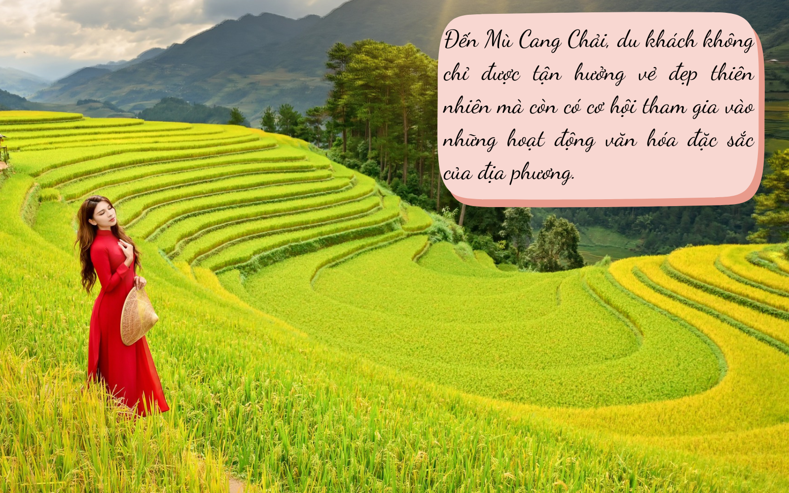 Mê mải nắng thu rót vàng trên ruộng bậc thang Mù Cang Chải - 8