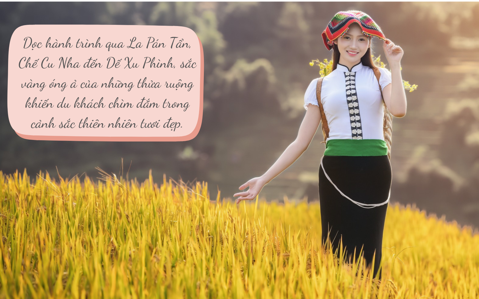 Mê mải nắng thu rót vàng trên ruộng bậc thang Mù Cang Chải - 4