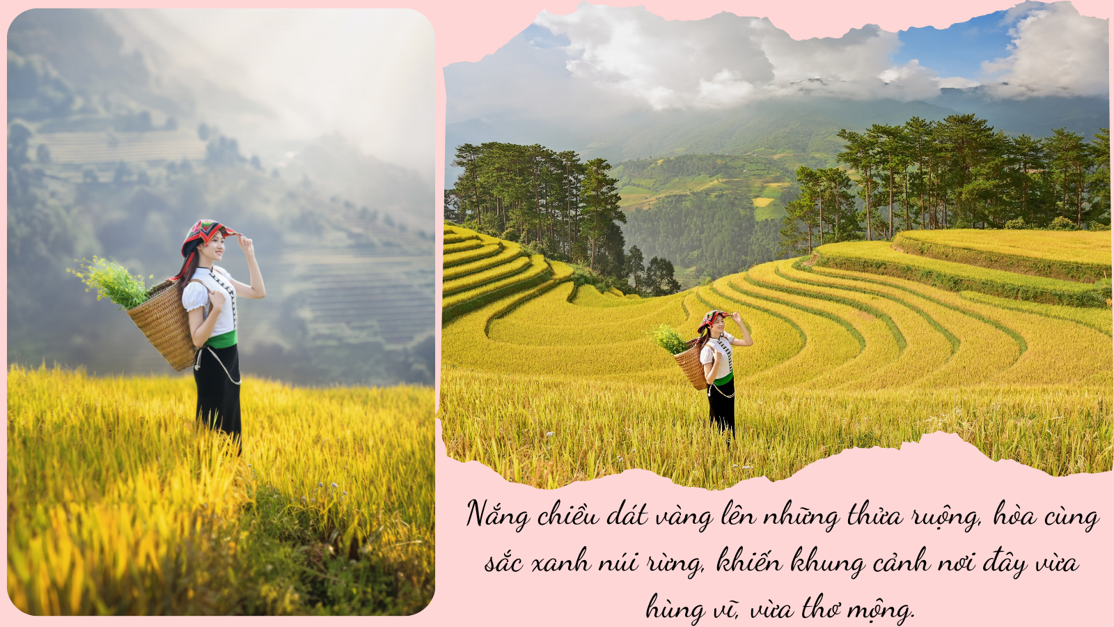 Mê mải nắng thu rót vàng trên ruộng bậc thang Mù Cang Chải - 3