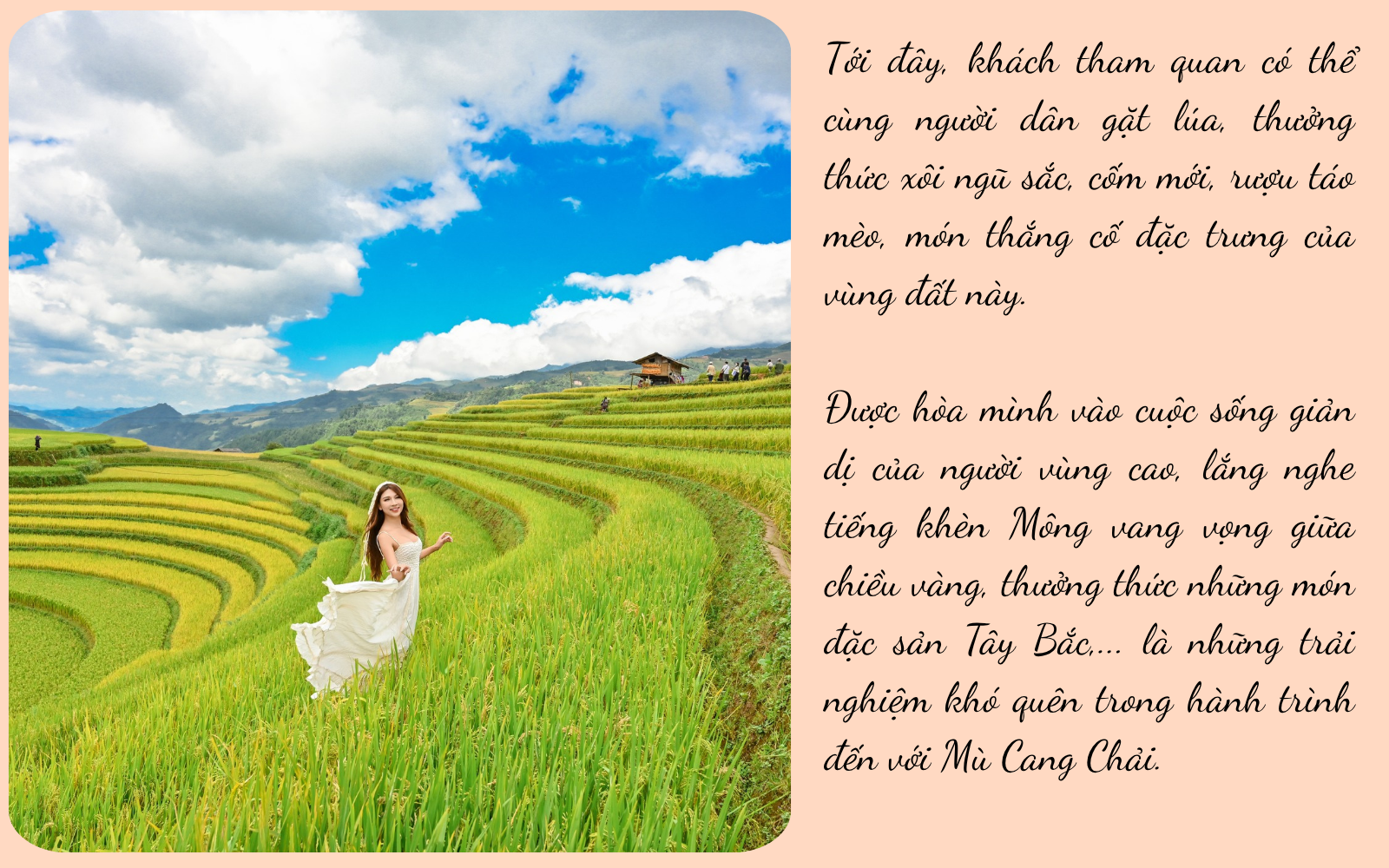 Mê mải nắng thu rót vàng trên ruộng bậc thang Mù Cang Chải - 9