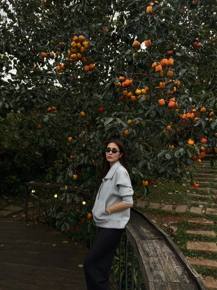 Tăng Thanh Hà 'mê quên lối về' mùa hồng chín ở Đà Lạt - 1