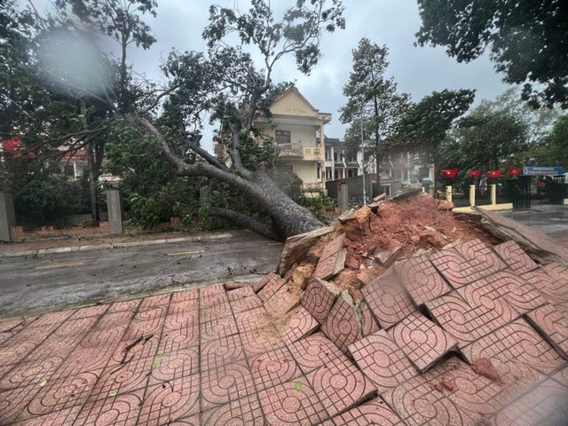 Chiều tối mai, bão Fengshen sẽ vào Biển Đông.