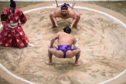 Vật sumo Nhật Bản tạo cơn sốt tại nước Anh: Sững sờ vì hình ảnh nhạy cảm
