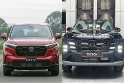Tầm giá 500 triệu đồng đây là…