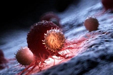 Đột phá: Dùng gene virus lồng trong vi khuẩn tiêu diệt ung thư