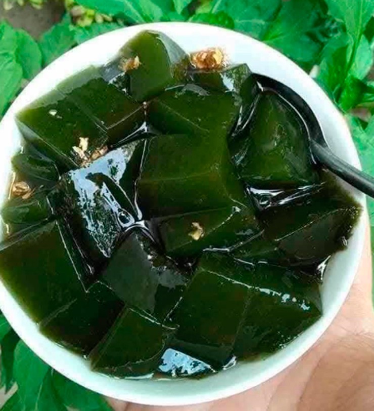 Cây sương sâm từ lâu đã gắn liền với tuổi thơ của nhiều người dân miền quê Việt Nam nhờ món thạch sương sâm mát lạnh, thanh ngọt.
