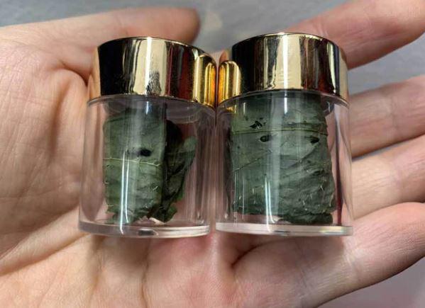 Tại một triển lãm, 5 chiếc lá khô vo lại thành viên từng được rao bán với giá 200.000 đồng.