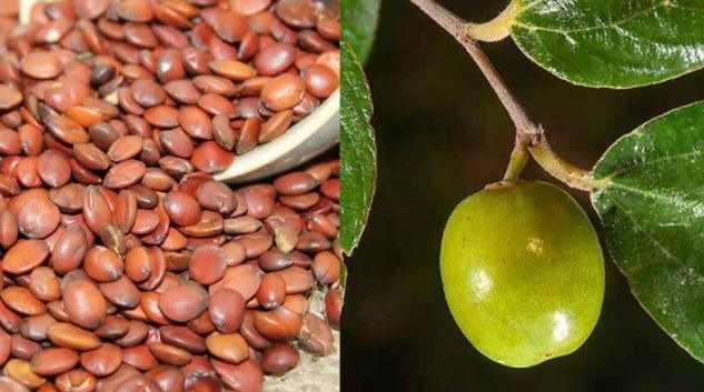 Thứ 90% người Việt bỏ đi không ngờ là "mỏ vàng", giá hơn 2 triệu đồng/kg - 1