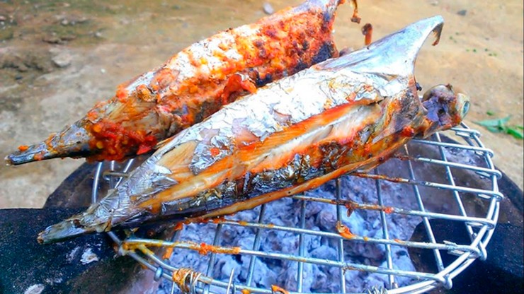 Ở vùng biển Đắk Lắk (tỉnh Phú Yên cũ), khi mùa cá ồ rộ về (từ tháng 4 đến tháng 6 âm lịch), những đàn cá lưng xanh, bụng trắng bơi thành từng cụm dập dìu trên mặt nước.
