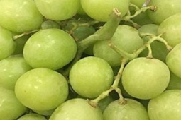 Ăn nho thế nào để không tăng cân, tốt cho sức khỏe?