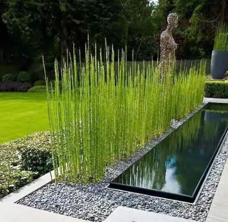 Biến cỏ dại thành “vàng”, khách đua nhau “đốt tiền” để mua - 3