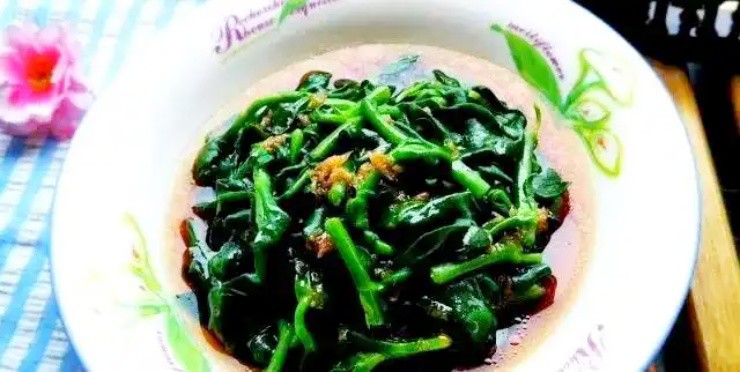 Cây dại xưa cho lợn ăn, nay thành cây tài lộc “hút bộn tiền” - 3