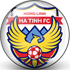 Trực tiếp bóng đá Công an TP.HCM - Hà Tĩnh: Thanh Tùng cứu thua giữ lại 1 điểm (V-League) - 1