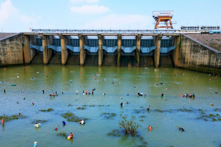 Hàng trăm người đổ về hồ Trị An săn 'kho báu cá khủng', có con nặng 20kg - 1
