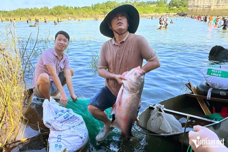 Hàng trăm người đổ về hồ Trị An săn 'kho báu cá khủng', có con nặng 20kg - 4