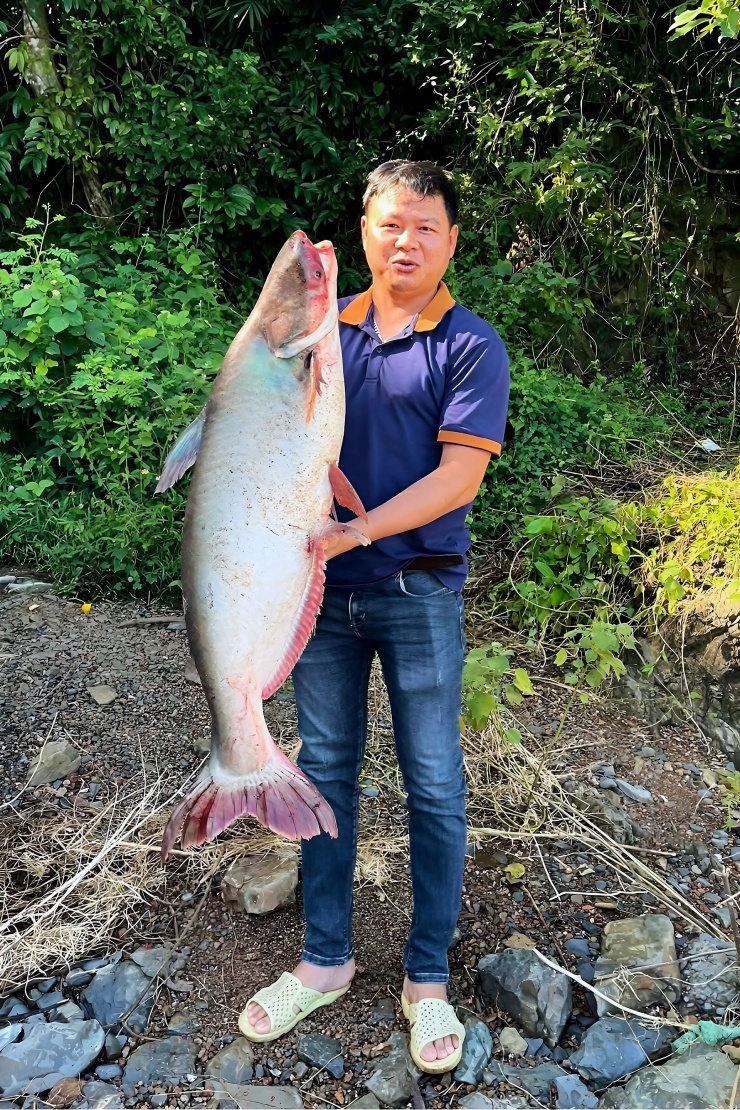 Hàng trăm người đổ về hồ Trị An săn 'kho báu cá khủng', có con nặng 20kg - 6