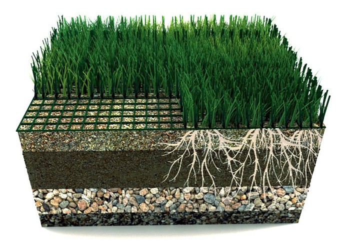 Cỏ mô-đun lai. Ảnh: Reform Sports